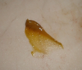 medium venitien